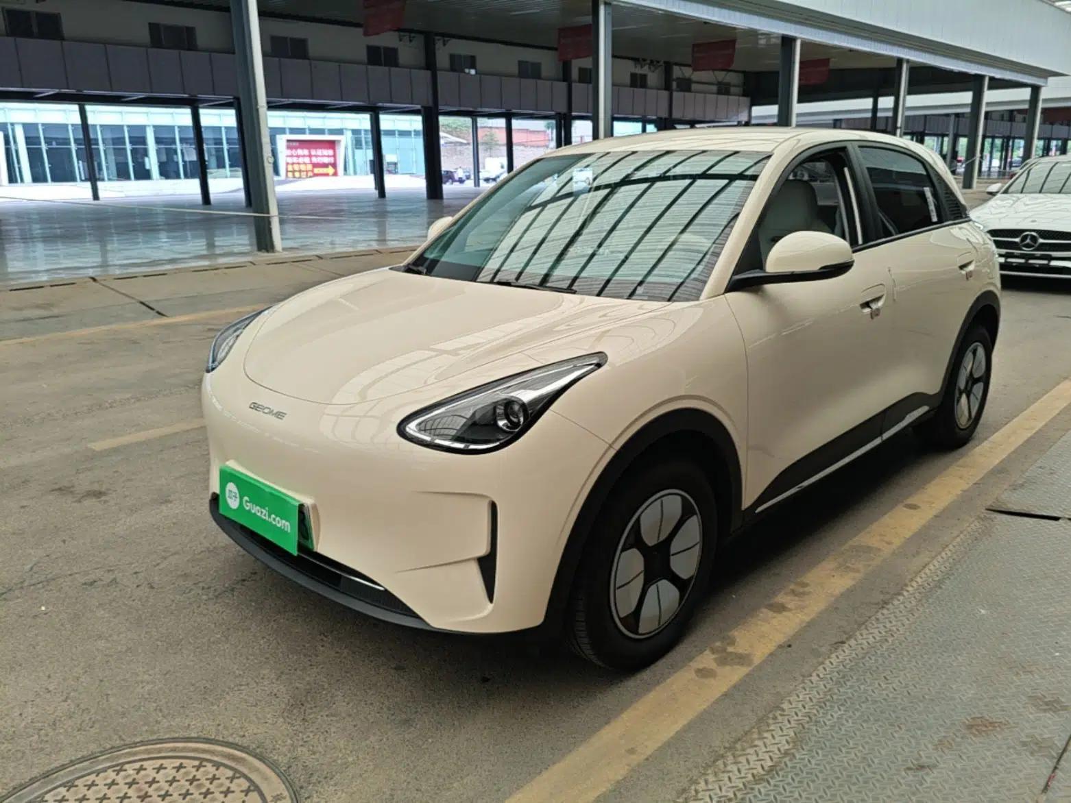 Geely Galaxy Geome 2025 310km Youth Edition — миниатюра 1