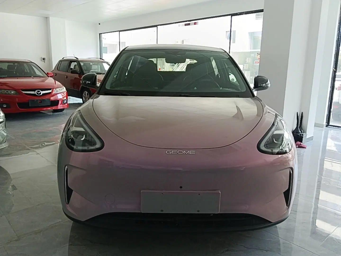 Geely Galaxy Geome 2025 310km Dream Edition — миниатюра 2