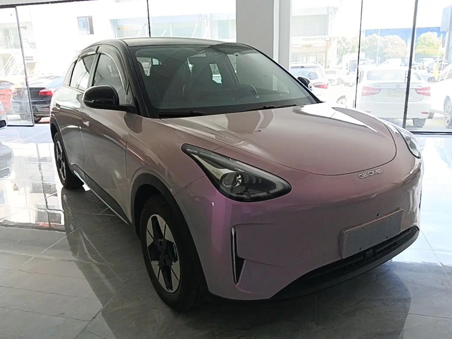 Geely Galaxy Geome 2025 310km Dream Edition — миниатюра 3