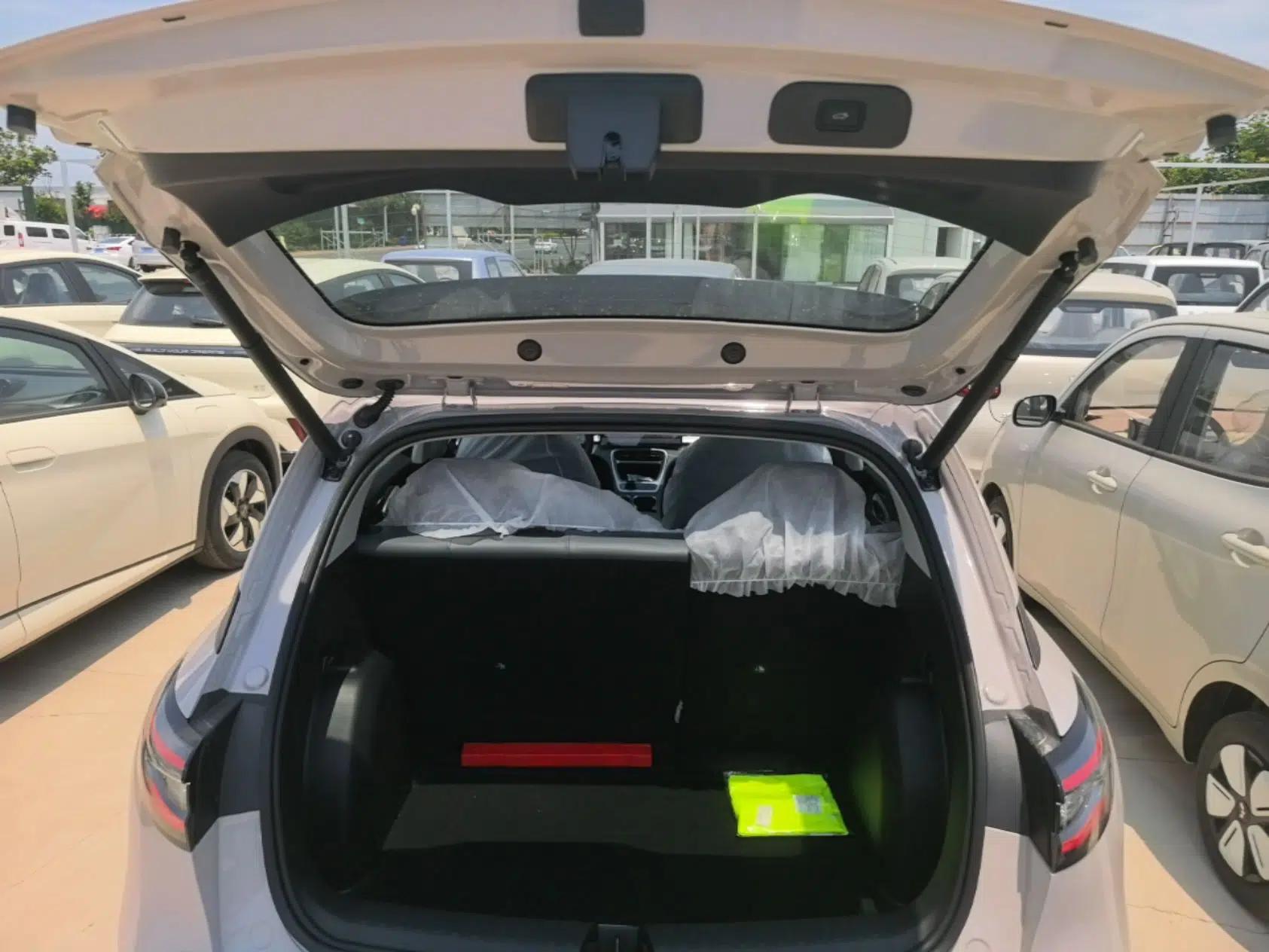 Geely Galaxy Geome 2026 Model 410km Freedom Edition — миниатюра 22