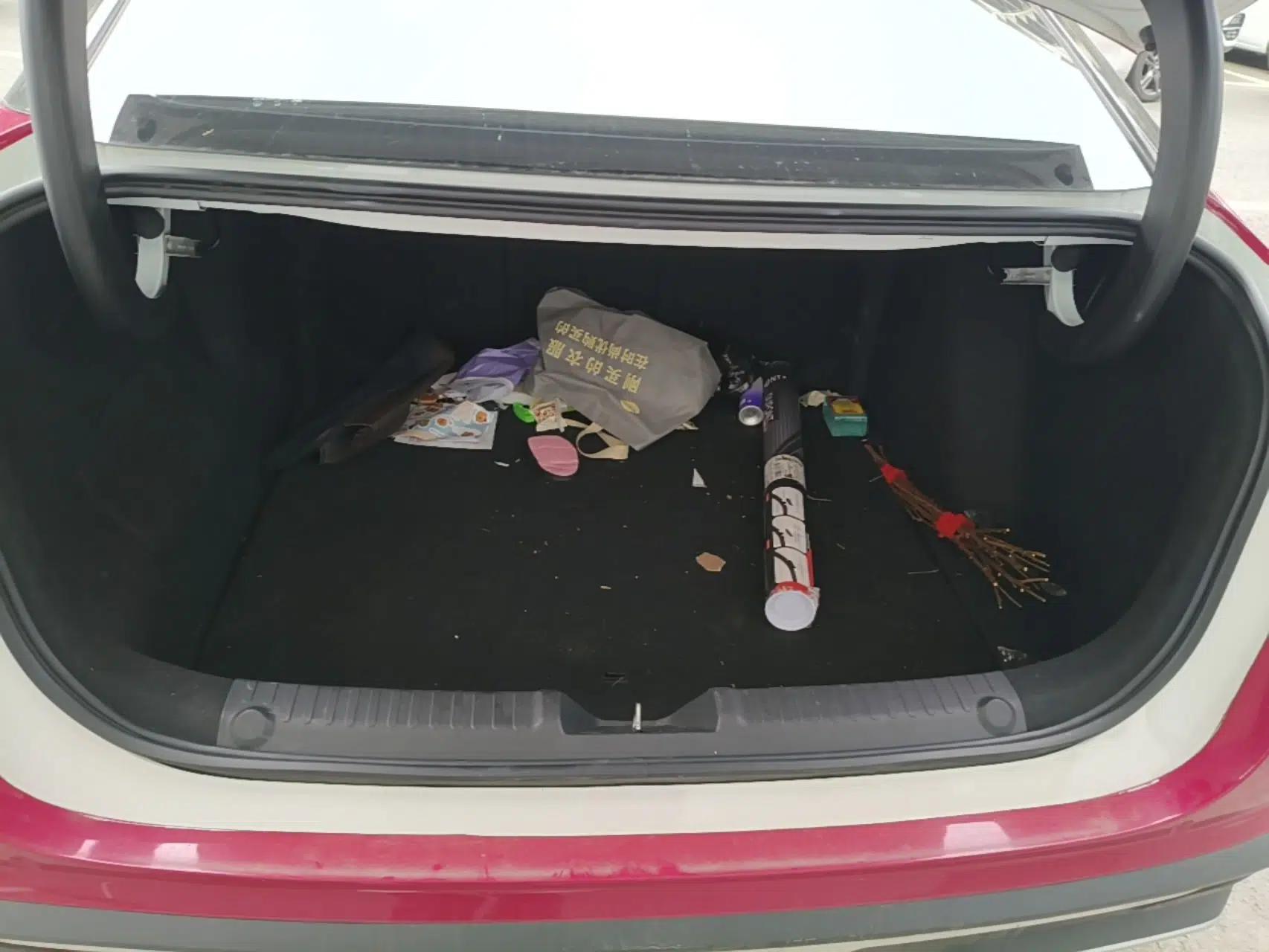 Geely Galaxy L6 2023 125km Starship — миниатюра 22