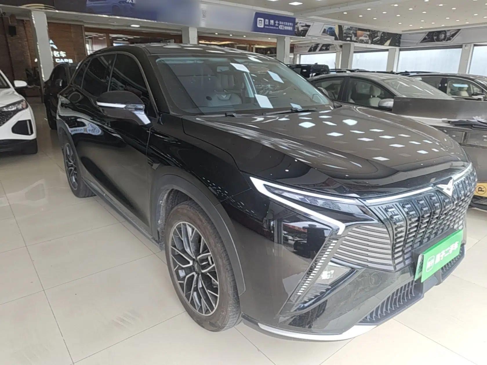 Cowin Kunlun 2024 Kunlun iHD 150km Mountain Peak Edition — миниатюра 3