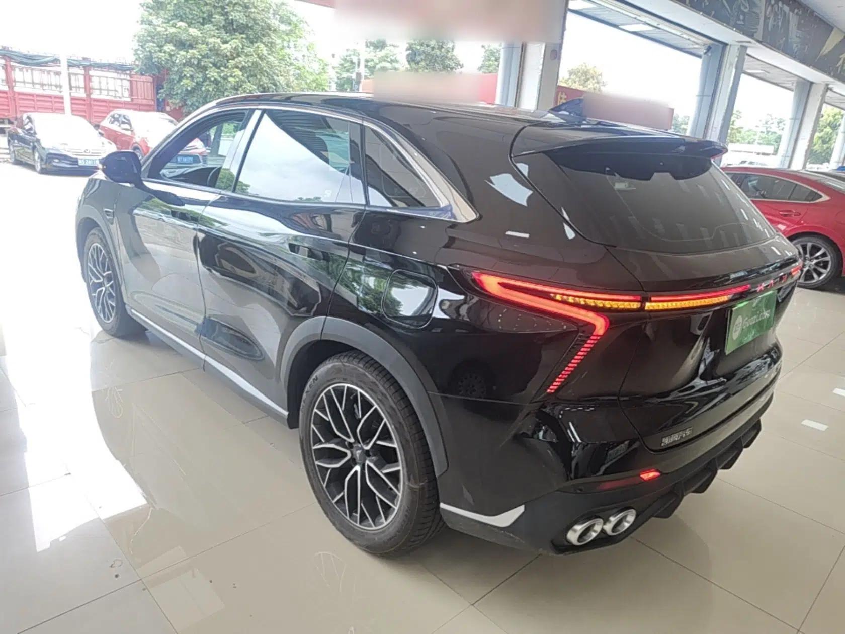 Cowin Kunlun 2024 Kunlun iHD 150km Mountain Peak Edition — миниатюра 4