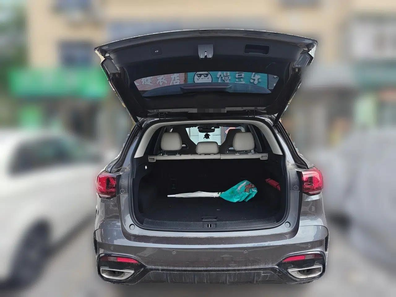 MG Pilot 2021 300TGI Automatic Two-Wheel Drive Trophy Deluxe Edition — миниатюра 19