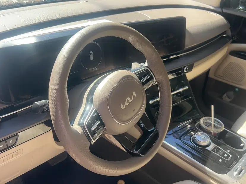 Kia Carnival 2021 2.0T Flagship Edition — миниатюра 12