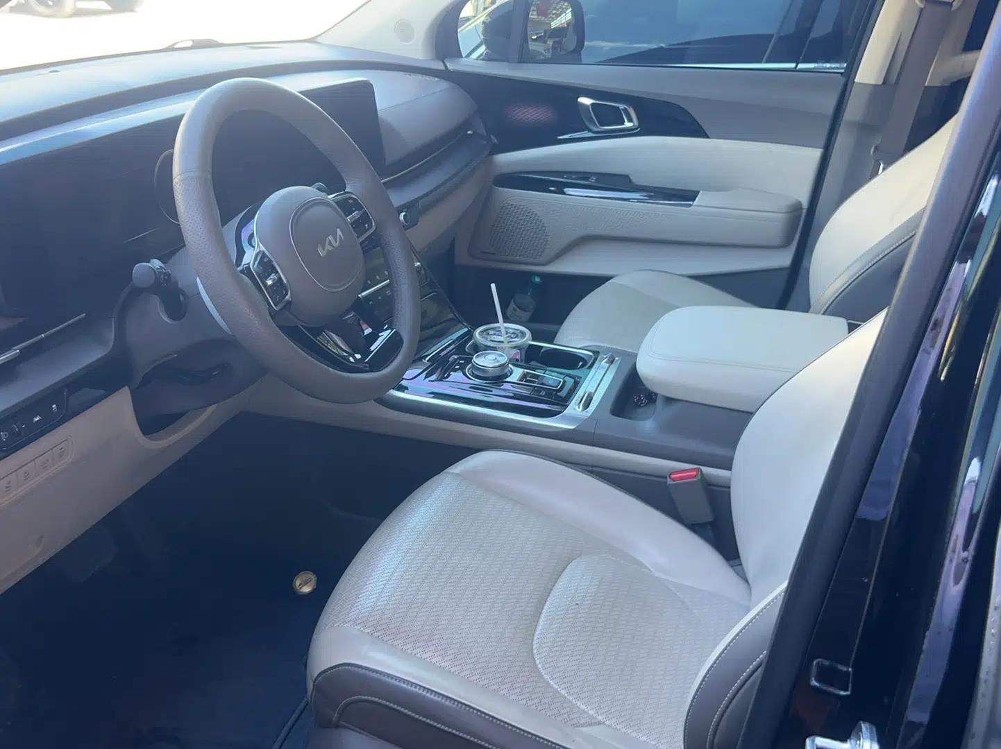 Kia Carnival 2021 2.0T Flagship Edition — миниатюра 9
