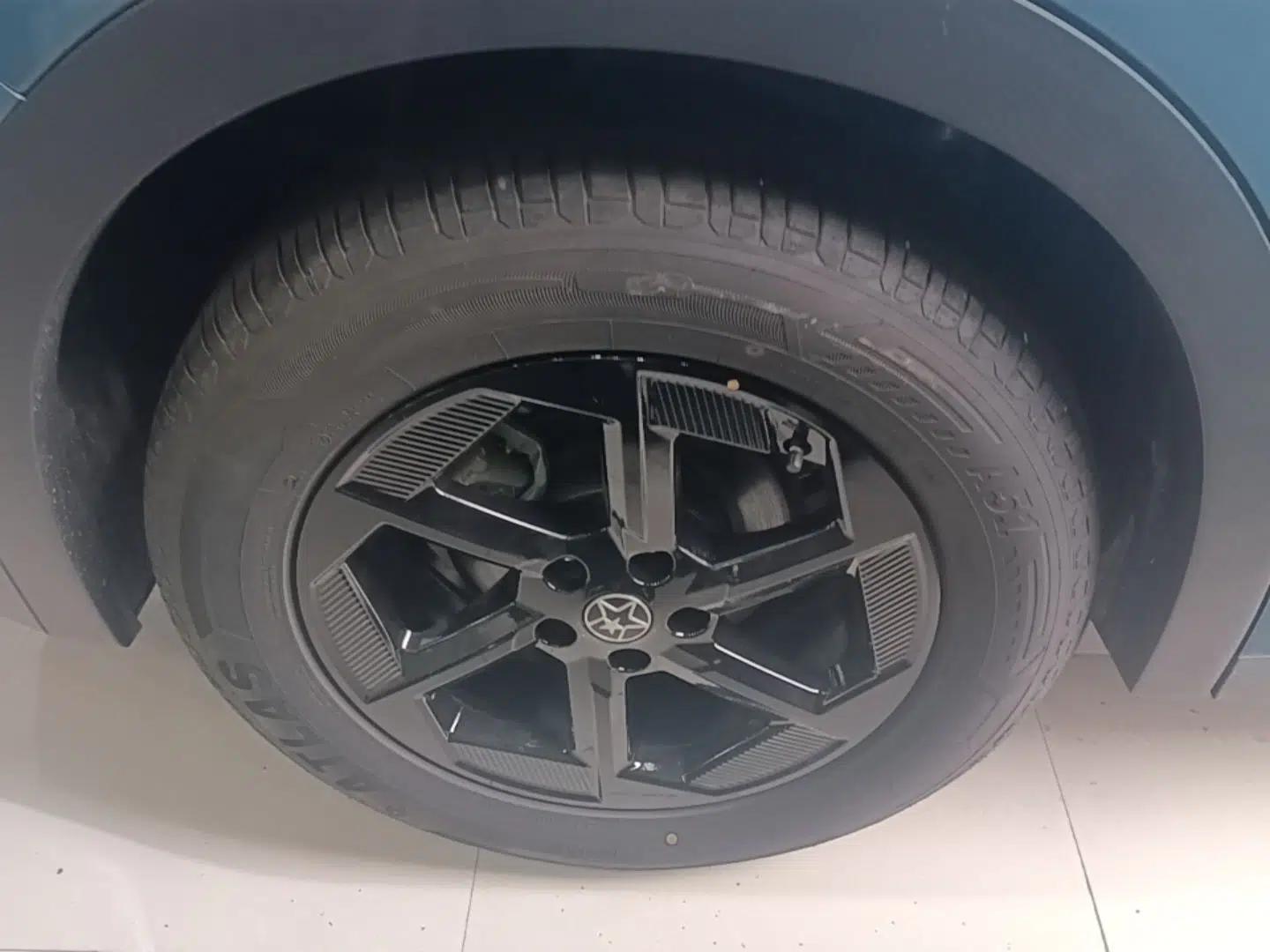 Venucia VX6 2024 520 Executive Edition — миниатюра 11
