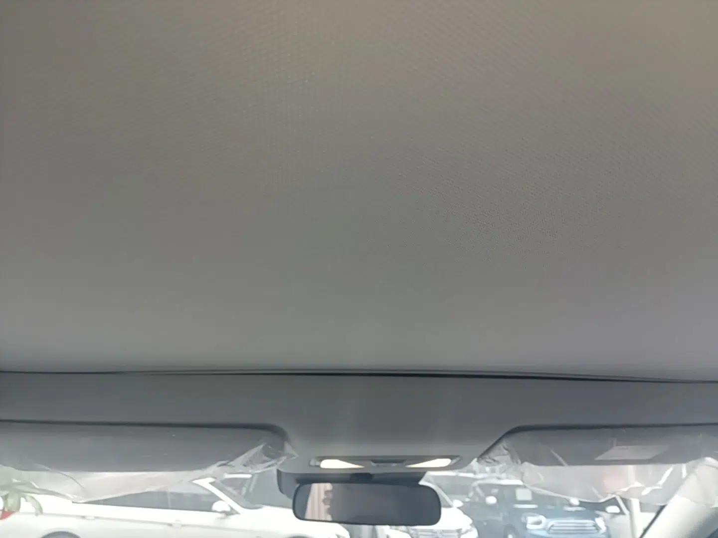 Venucia VX6 2024 520 Executive Edition — миниатюра 21