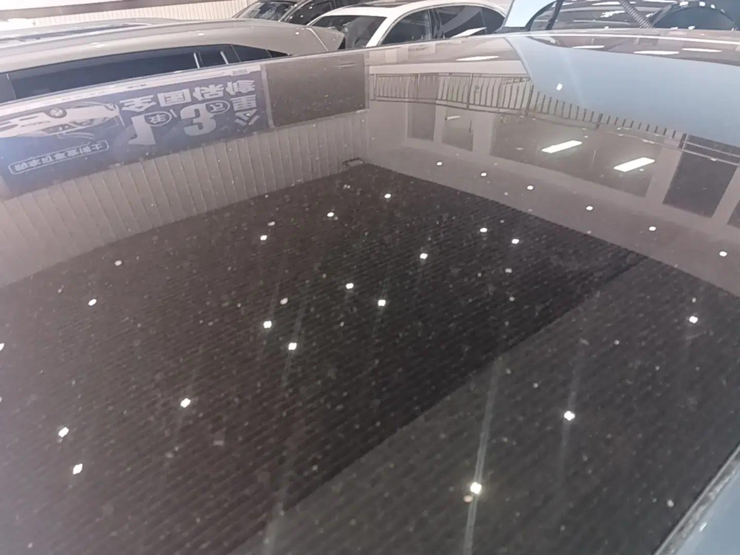Venucia VX6 2024 520 Executive Edition — миниатюра 7