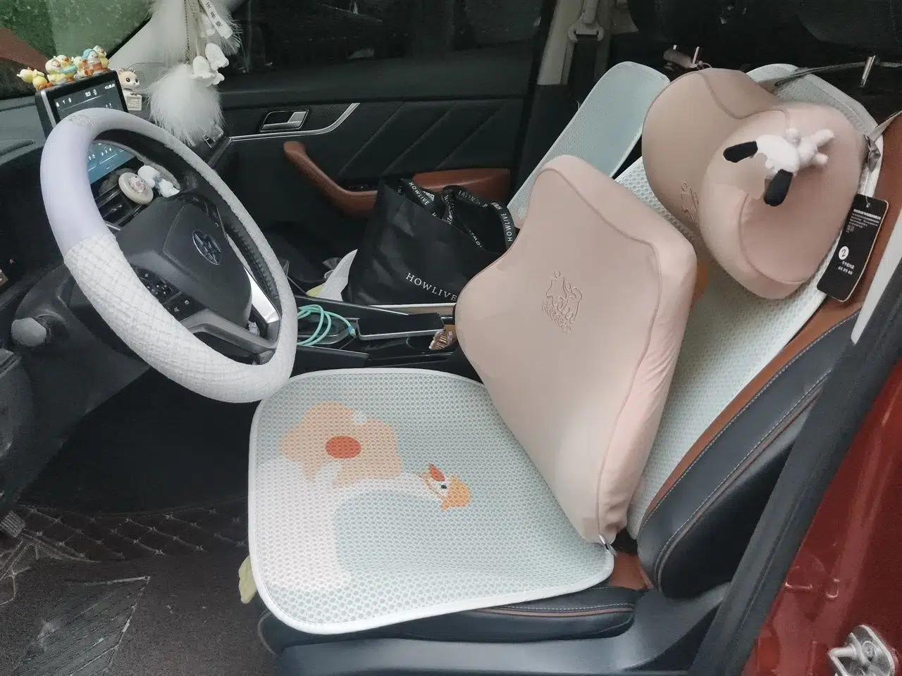 Venucia T60 2018 1.6L CVT Zhiyue Edition China V Standard — миниатюра 15