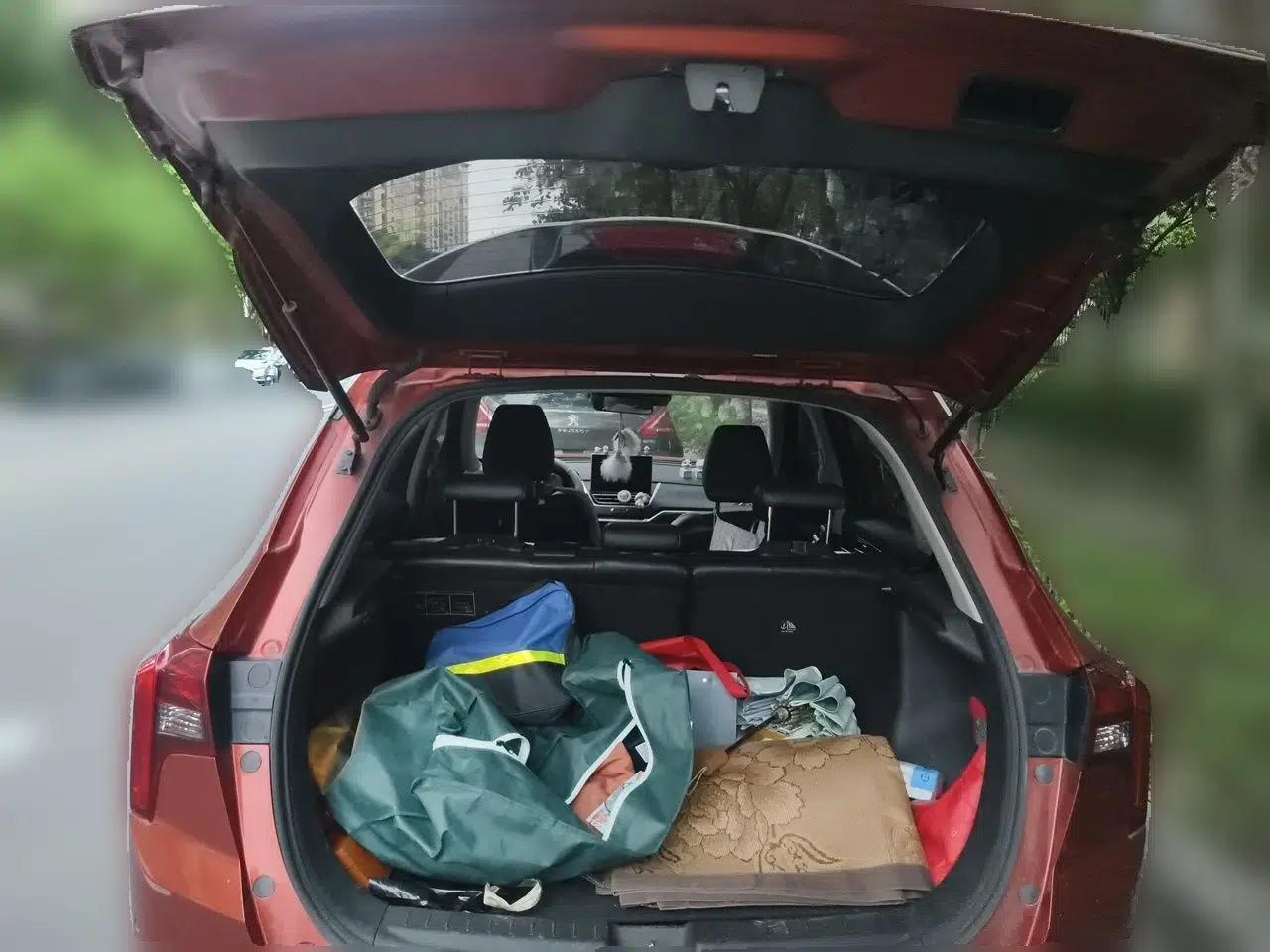 Venucia T60 2018 1.6L CVT Zhiyue Edition China V Standard — миниатюра 19