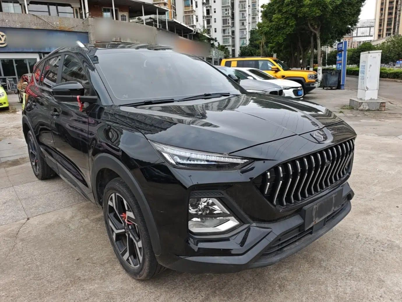 SOL X8 2022 Da Sheng Edition 300T DCT Xingzhe Model 7 Seats — миниатюра 3