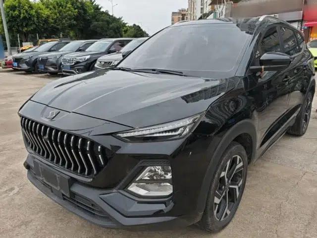 SOL X8 2022 Da Sheng Edition 300T DCT Xingzhe Model 7 Seats