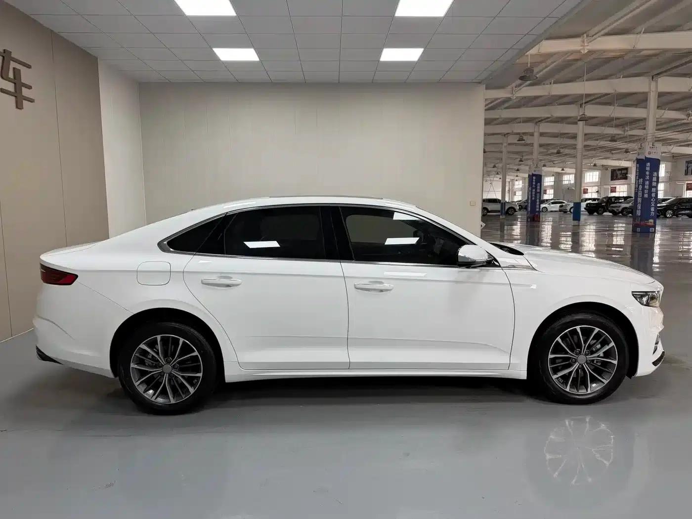 Xingrui 2025 Oriental Yao 1.5TD Fuyao Edition — миниатюра 7