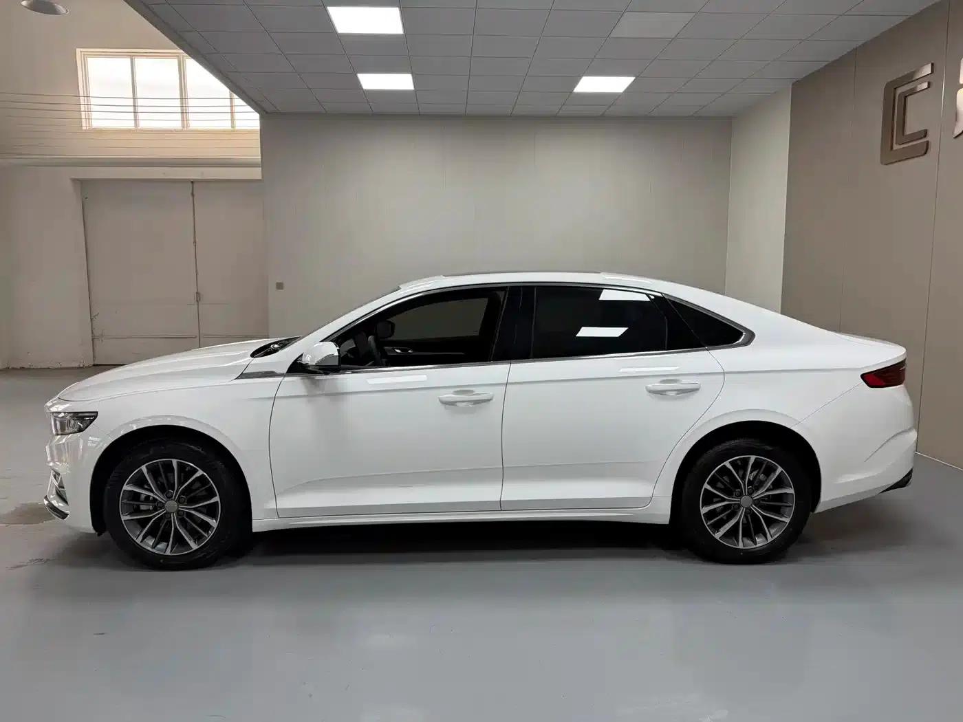 Xingrui 2025 Oriental Yao 1.5TD Fuyao Edition — миниатюра 8