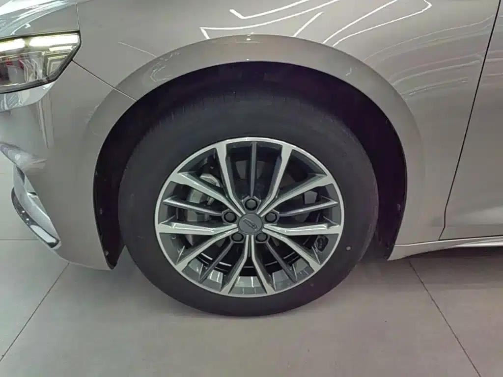 Xingrui 2023 2.0TD Luxury Edition — миниатюра 23