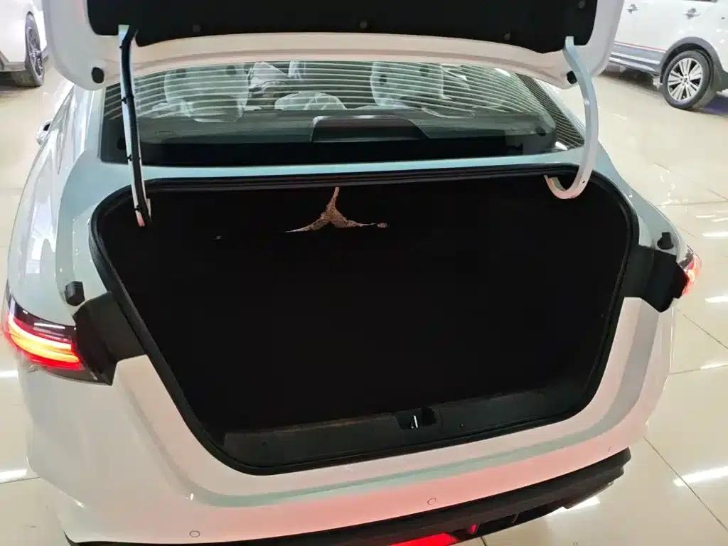 Binrui 2024 Model Binrui COOL 1.5T DCT Dragon Edition — миниатюра 19