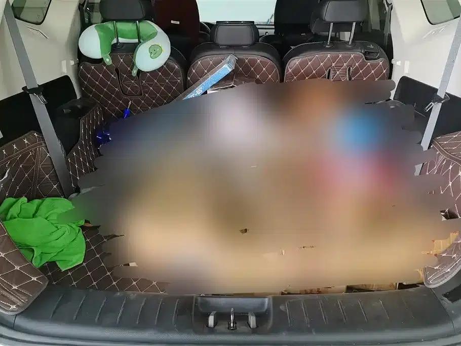 Geely Haoyue 2020 1.8TD DCT Flagship 7-Seater — миниатюра 4