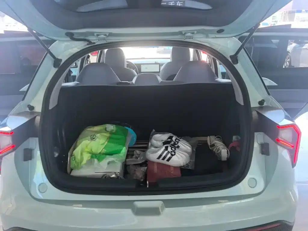 Geely Geometry E Firefly 2023 Model 320KM Cute Tiger 5-Seater — миниатюра 19