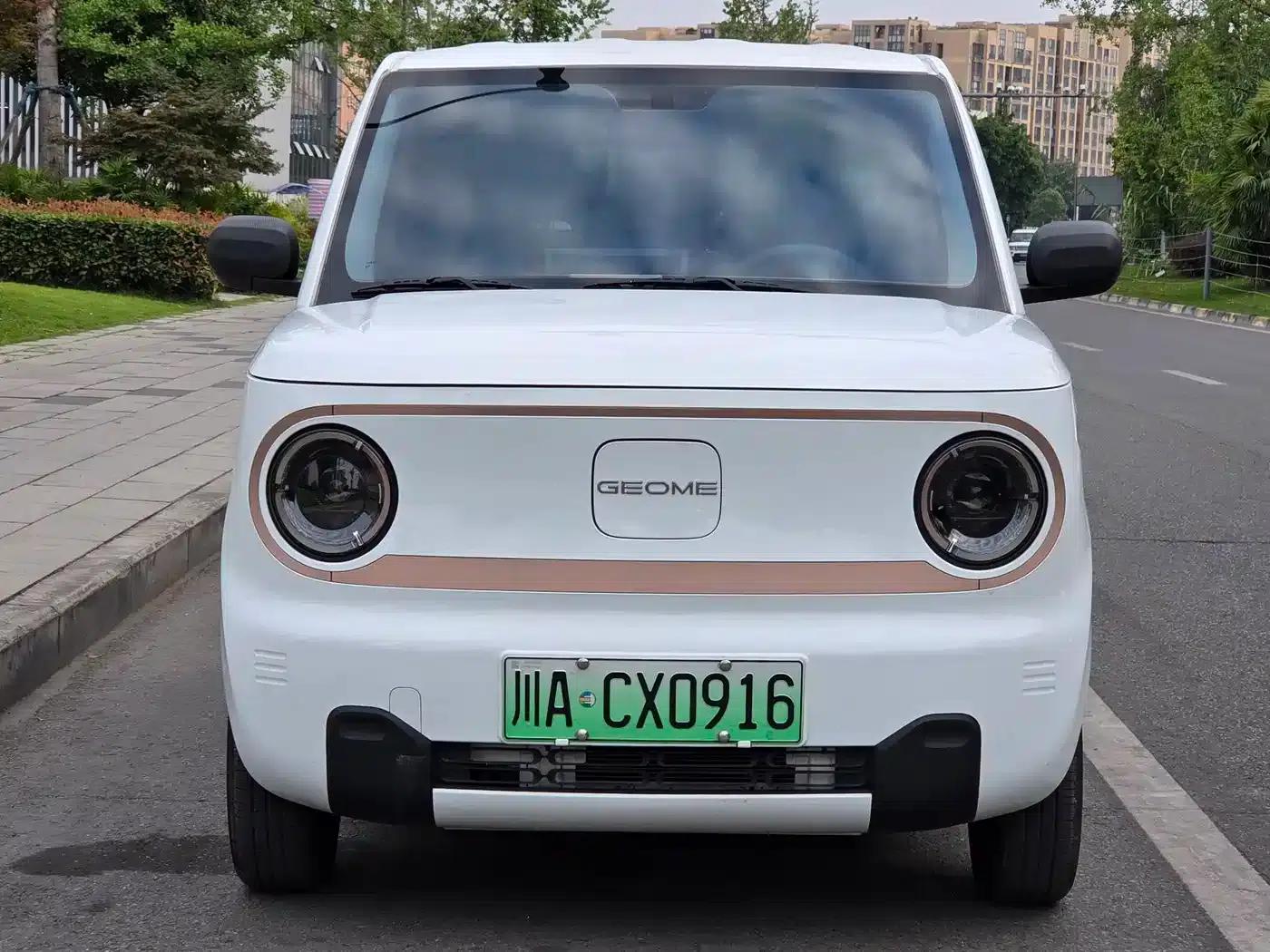 Panda 2024 Panda Mini 200km Endurance Bear — миниатюра 2