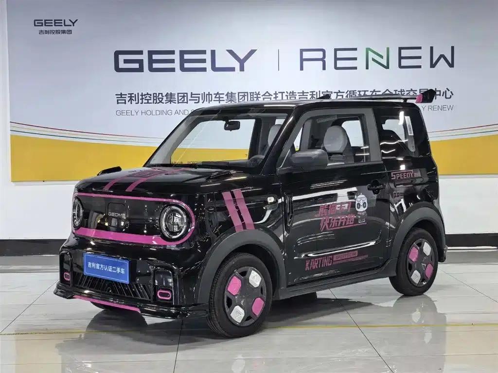 Panda 2025 Model 210km Panda Gokart — миниатюра 1