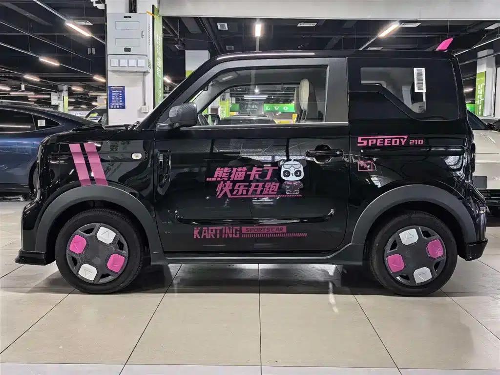 Panda 2025 Model 210km Panda Gokart — миниатюра 3
