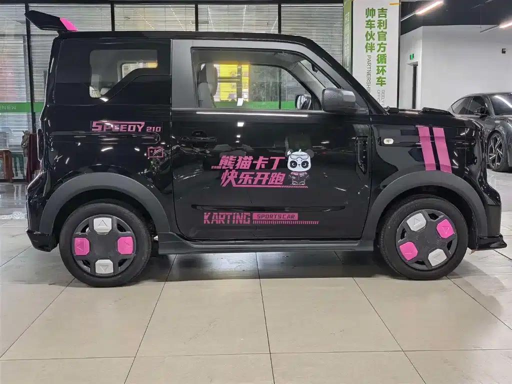 Panda 2025 Model 210km Panda Gokart — миниатюра 4