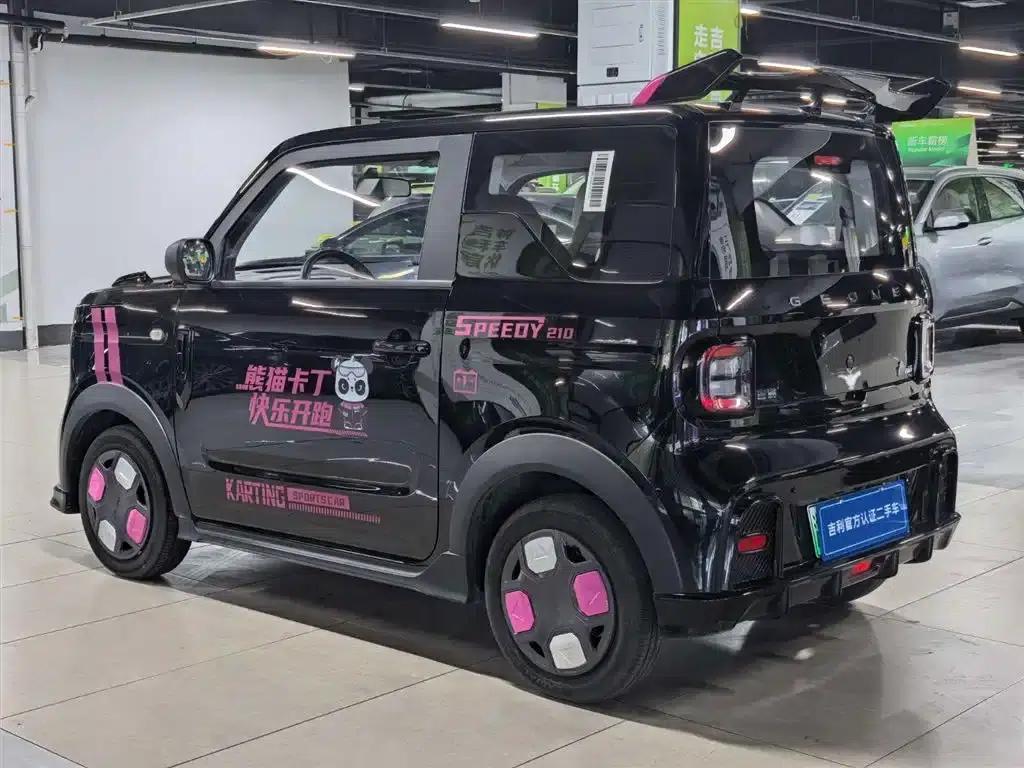 Panda 2025 Model 210km Panda Gokart — миниатюра 5