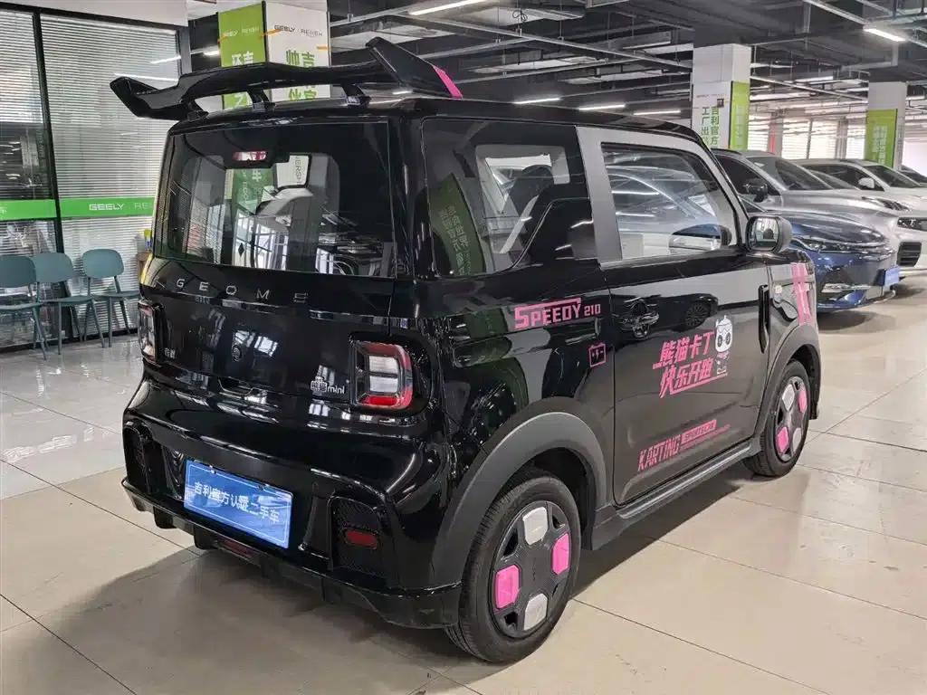 Panda 2025 Model 210km Panda Gokart — миниатюра 6