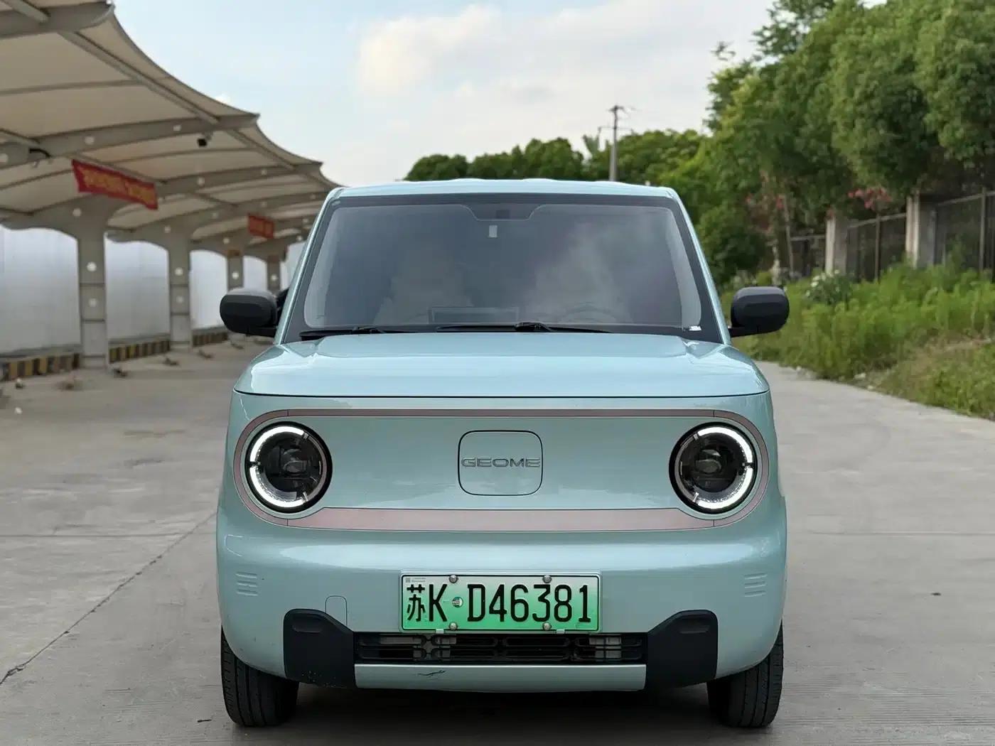 Panda 2023 Panda Mini 200km Endurance Bear — миниатюра 2