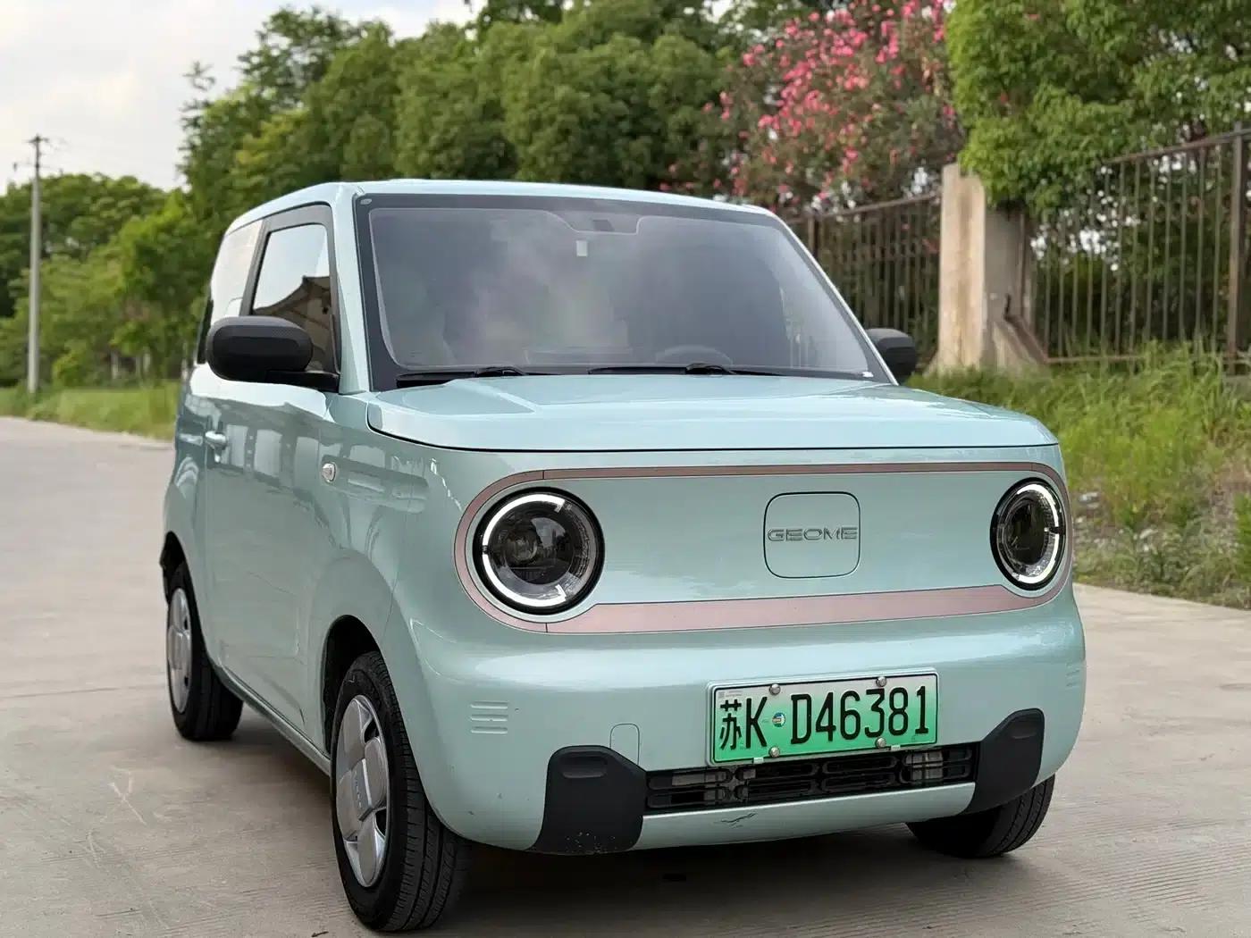 Panda 2023 Panda Mini 200km Endurance Bear — миниатюра 3