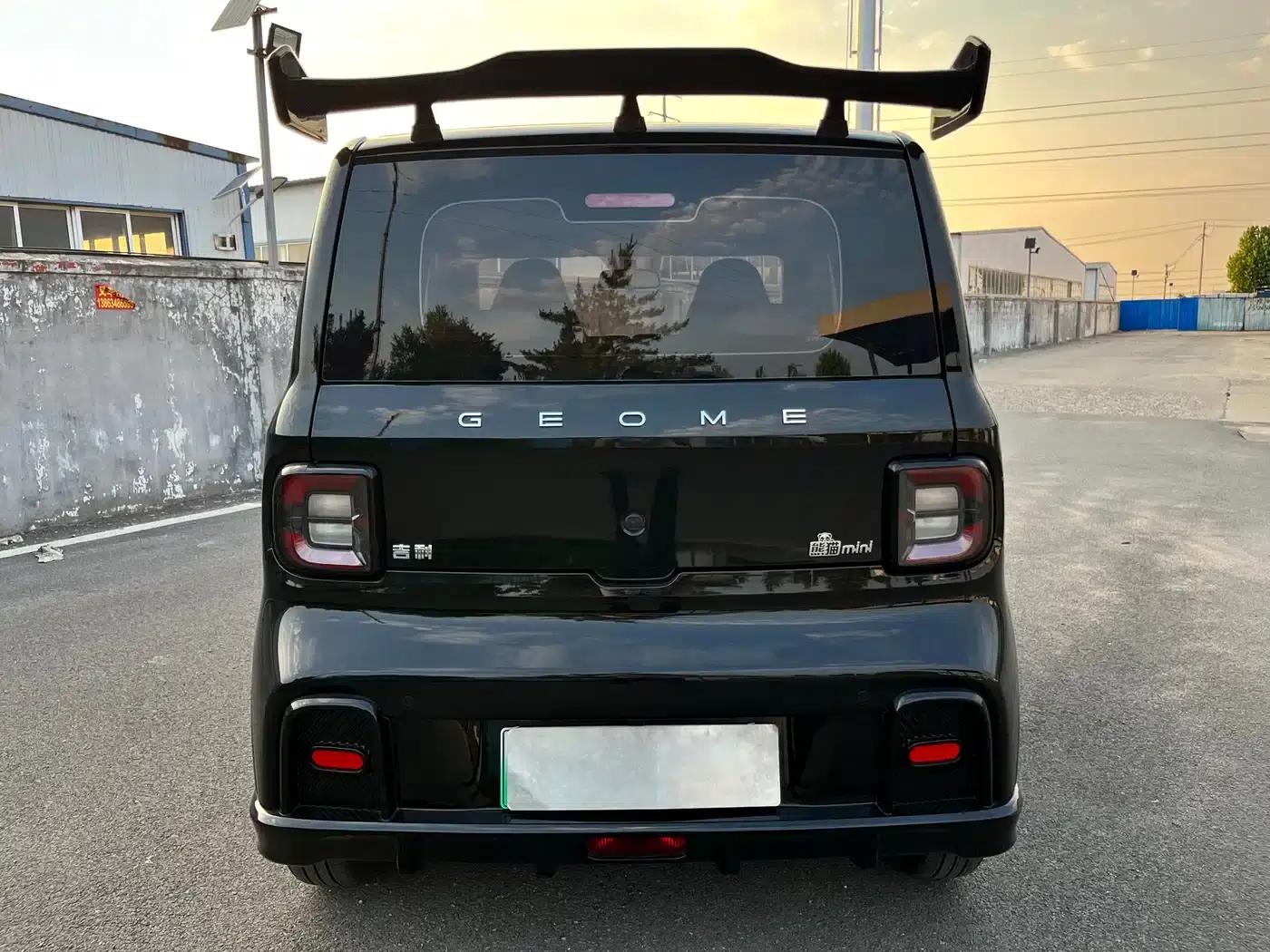 Panda 2025 Model 210km Panda Gokart — миниатюра 12