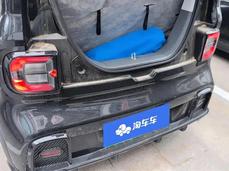 Panda 2025 Model 210km Panda Gokart — миниатюра 4