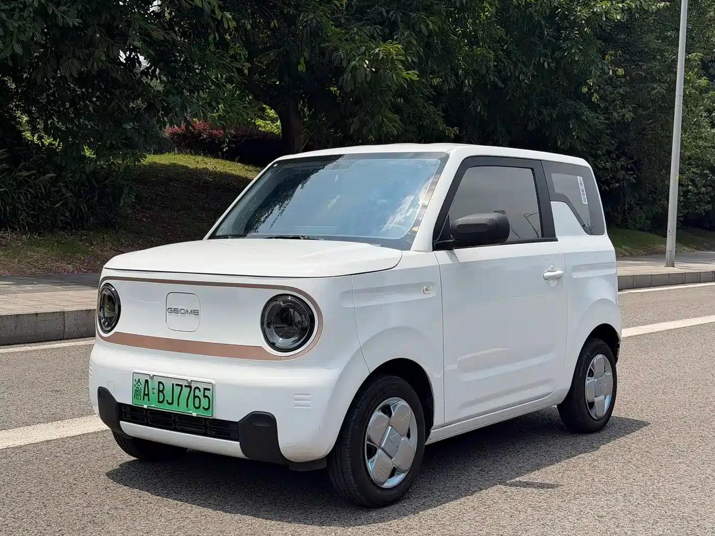 Panda 2024 Panda Mini 200km Endurance Bear — миниатюра 1