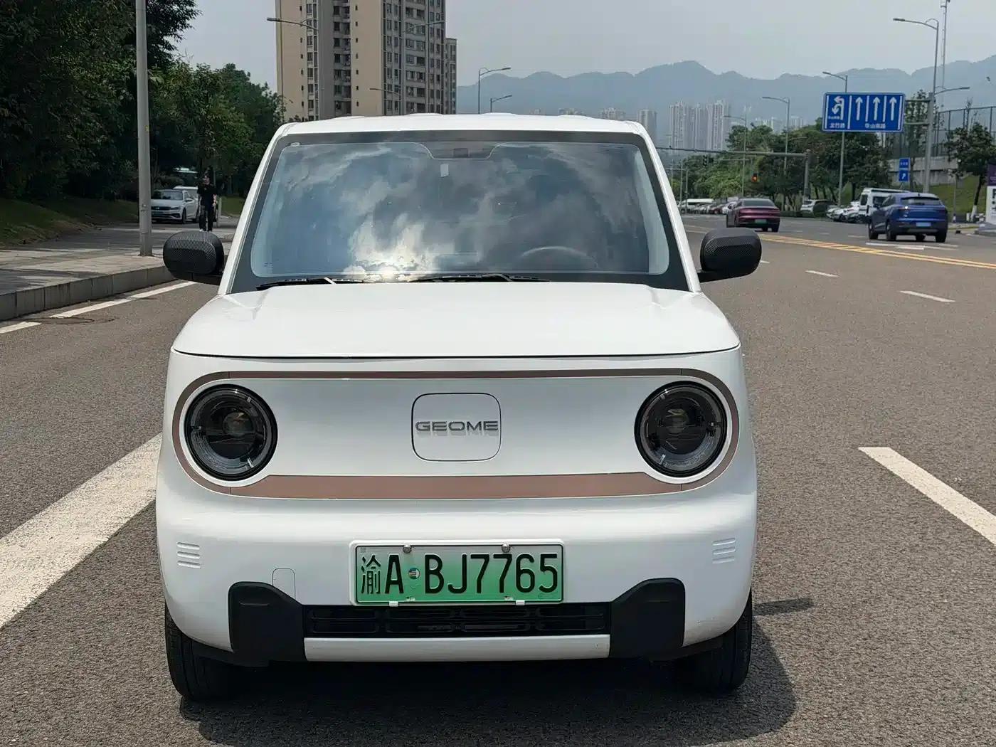 Panda 2024 Panda Mini 200km Endurance Bear — миниатюра 2