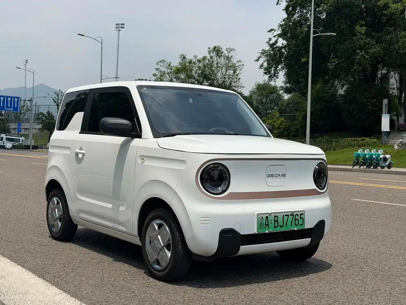 Panda 2024 Panda Mini 200km Endurance Bear — миниатюра 3
