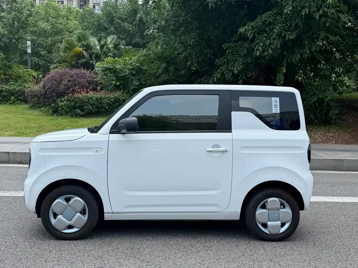 Panda 2024 Panda Mini 200km Endurance Bear — миниатюра 6