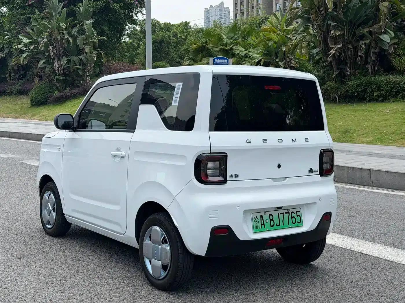 Panda 2024 Panda Mini 200km Endurance Bear — миниатюра 7