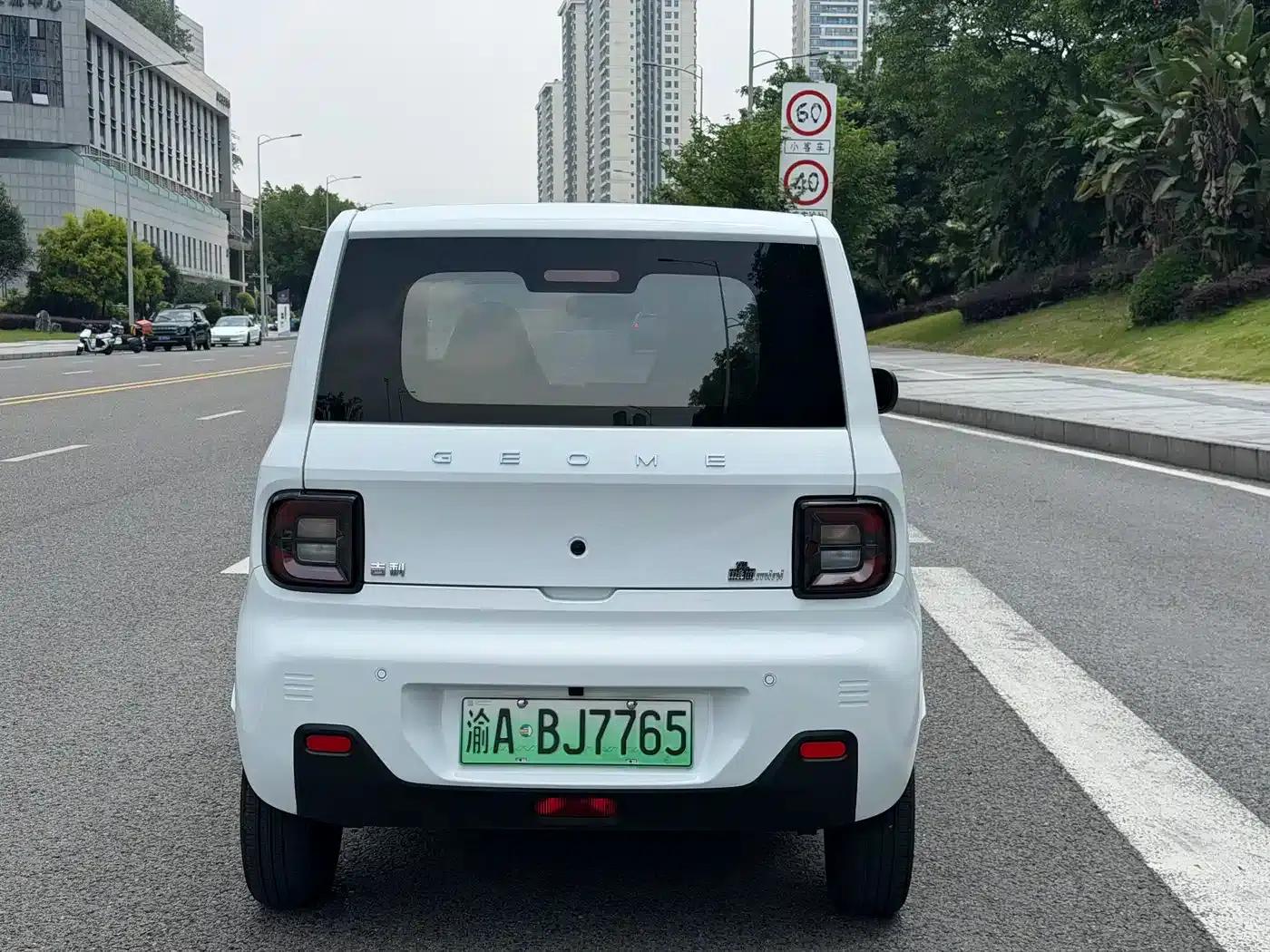 Panda 2024 Panda Mini 200km Endurance Bear — миниатюра 8