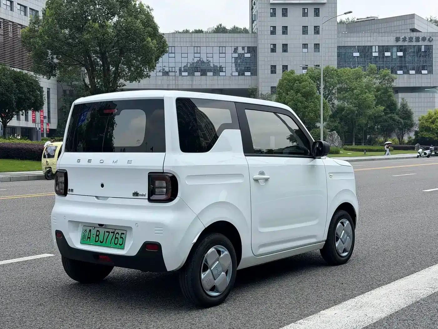 Panda 2024 Panda Mini 200km Endurance Bear — миниатюра 9