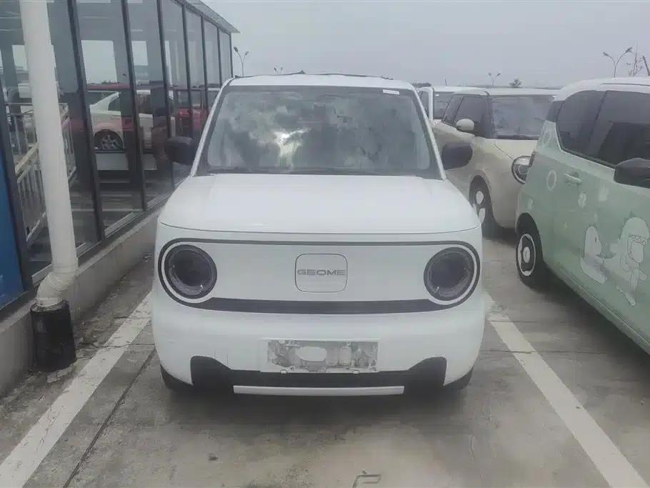 Panda 2024 Panda Mini 200km Endurance Bear — миниатюра 2