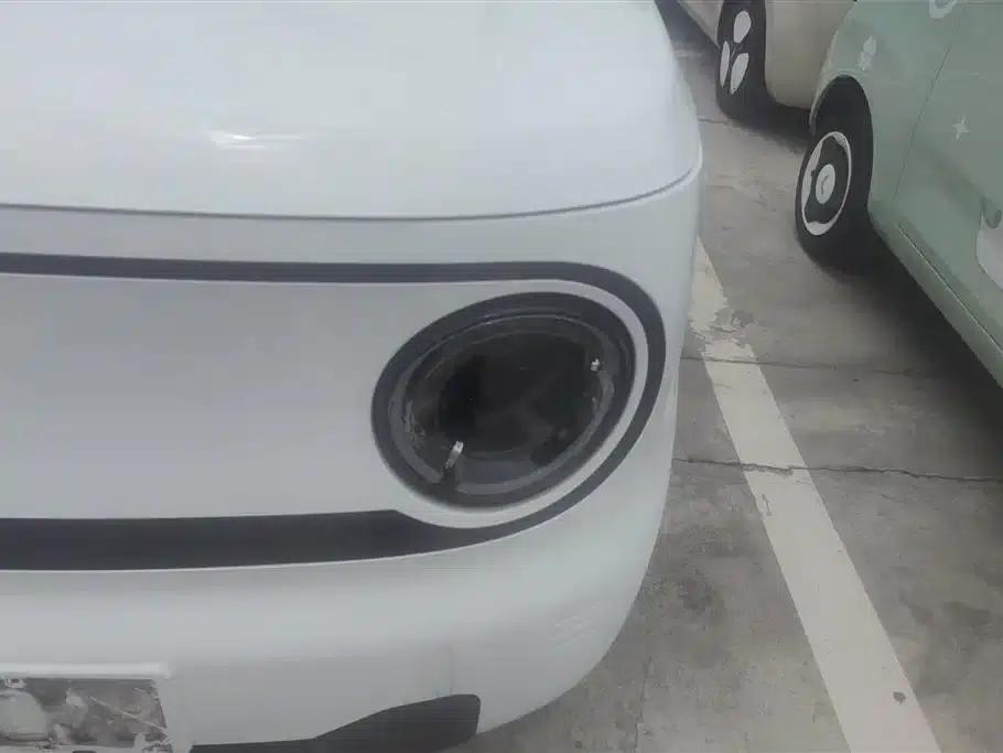 Panda 2024 Panda Mini 200km Endurance Bear — миниатюра 5