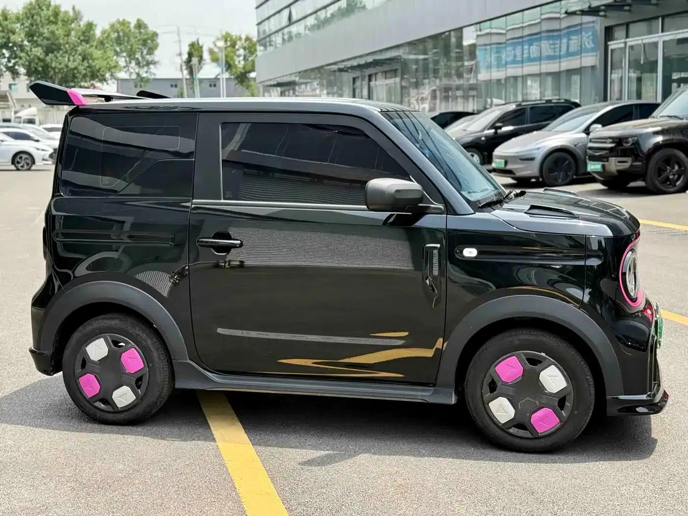 Panda 2025 Model 210km Panda Gokart — миниатюра 4