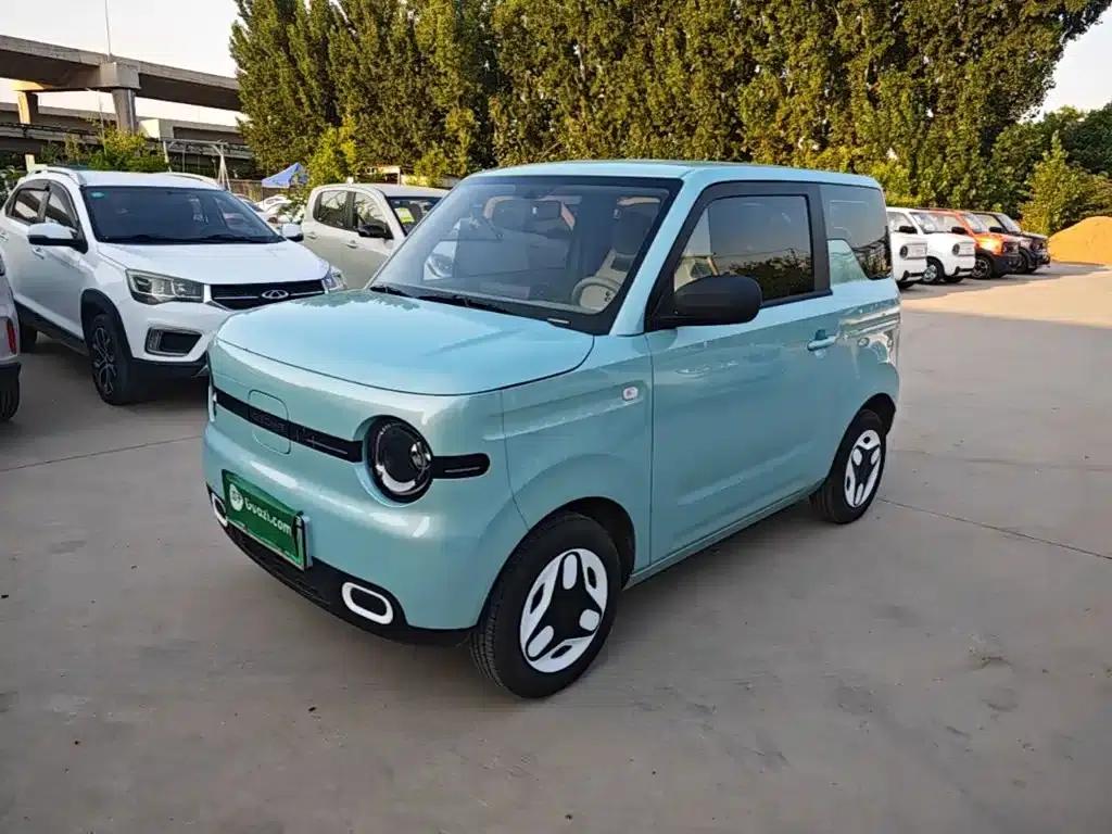 Panda 2025 Panda Mini 210km - Energetic Bear — миниатюра 2
