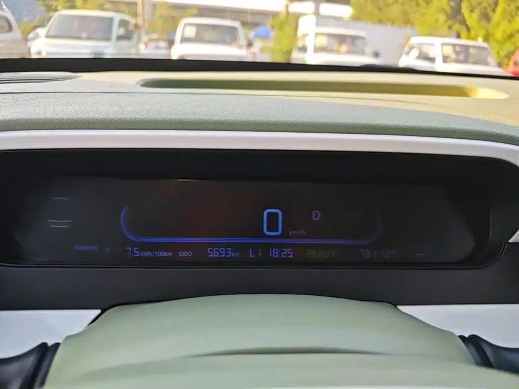 Panda 2025 Panda Mini 210km - Energetic Bear — миниатюра 12