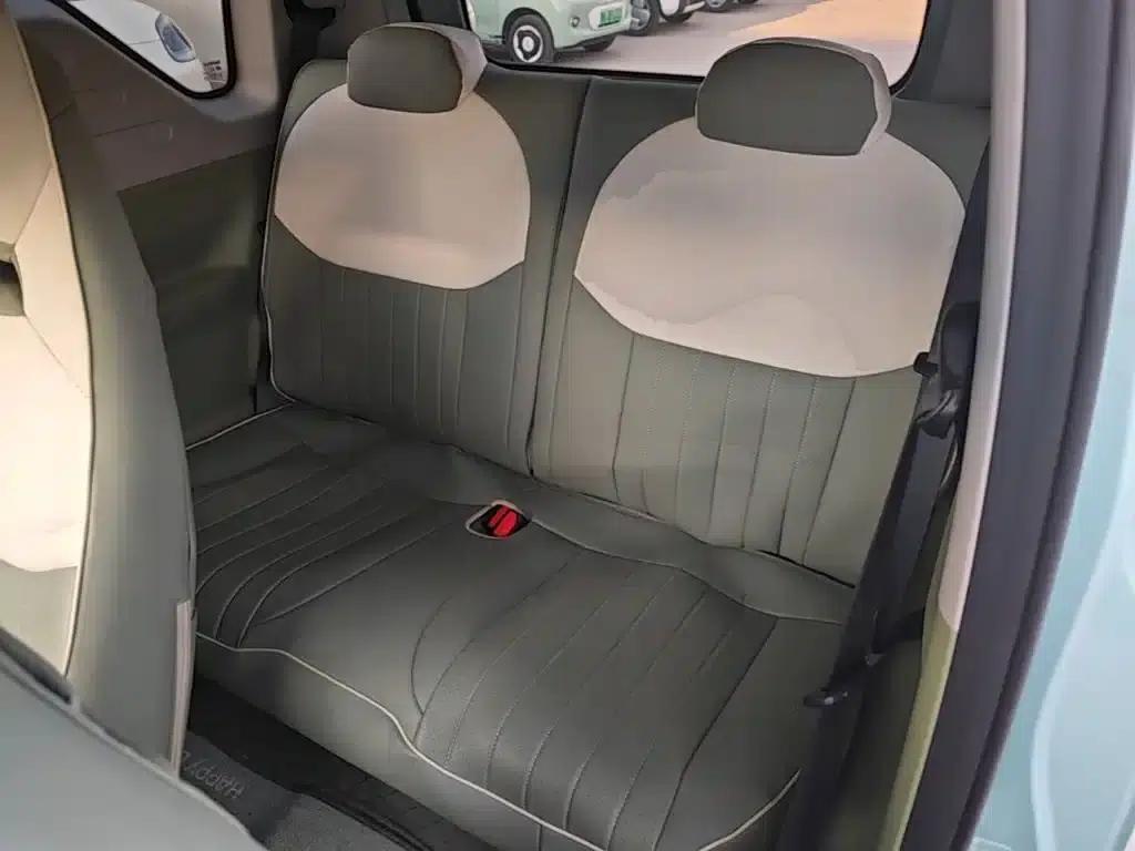 Panda 2025 Panda Mini 210km - Energetic Bear — миниатюра 17