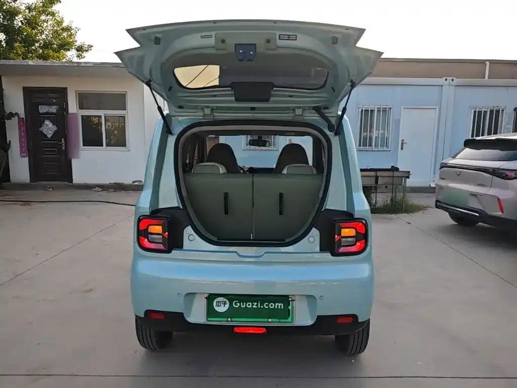 Panda 2025 Panda Mini 210km - Energetic Bear — миниатюра 19