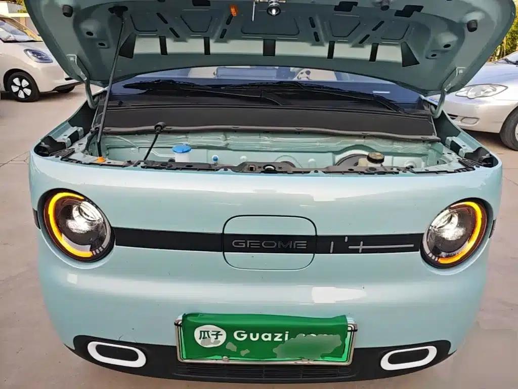 Panda 2025 Panda Mini 210km - Energetic Bear — миниатюра 20