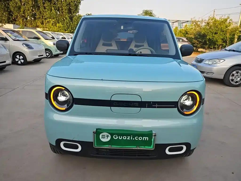 Panda 2025 Panda Mini 210km - Energetic Bear — миниатюра 3