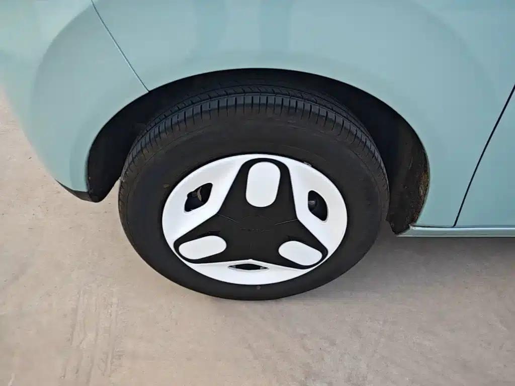 Panda 2025 Panda Mini 210km - Energetic Bear — миниатюра 23